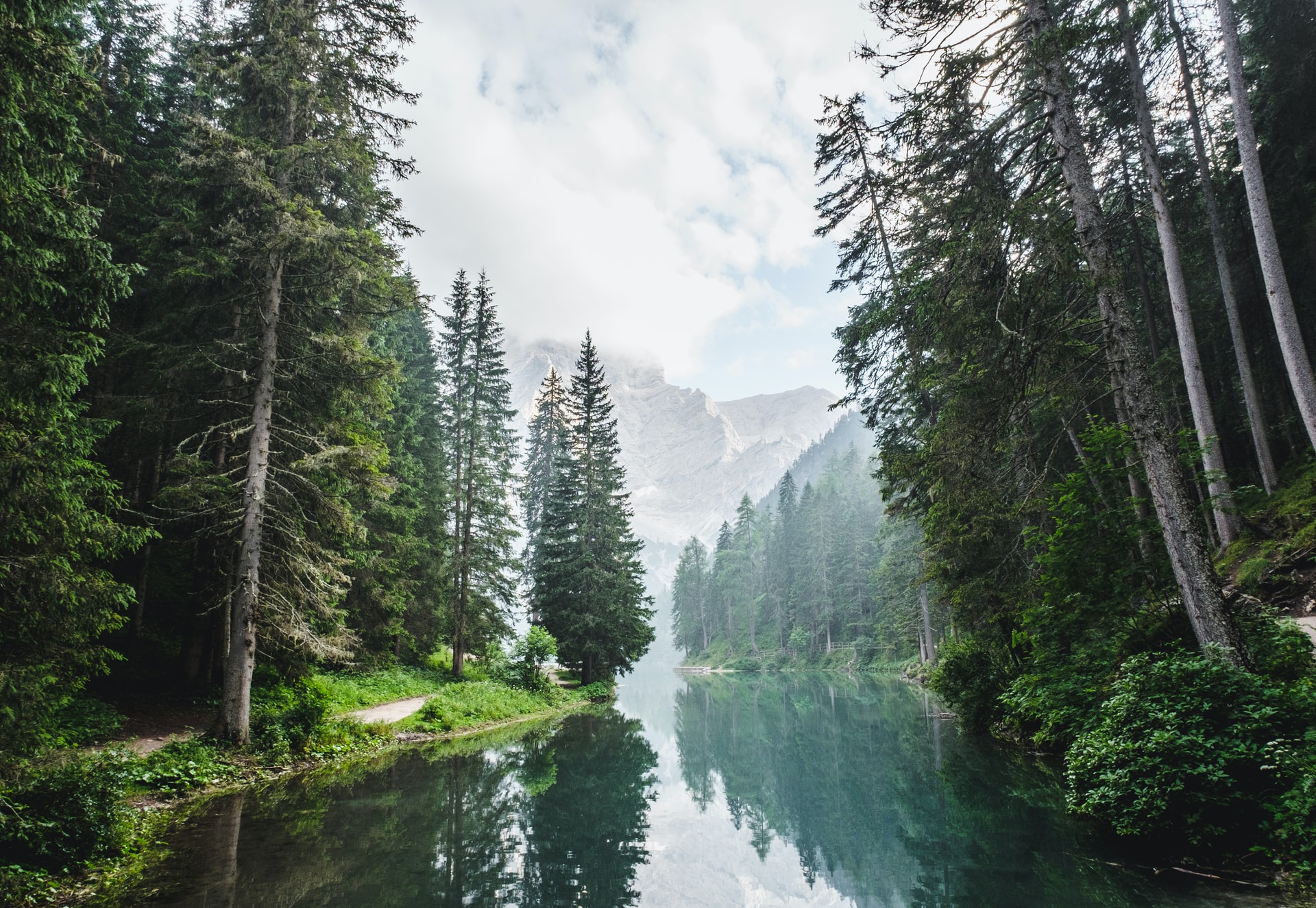 A wide river flowing through a forest.