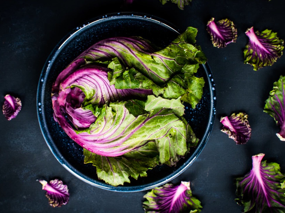 A blue bowl filled with purple lettuce sits on a black surface surrounded by small pieces of purple lettuce.